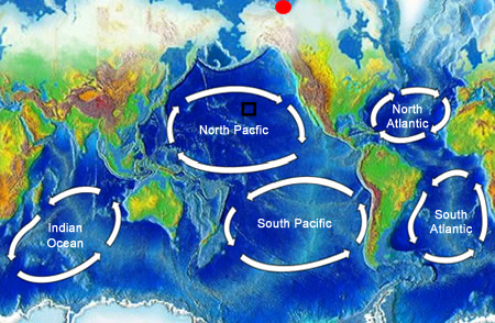 <a href="/earth/Water/ocean_gyres.html&dev=">Ocean gyres</a> are large swirling bodies of water that are often on the scale of a whole <a href="/earth/Water/ocean.html&dev=">ocean</a> basin. Ocean gyres dominate the open ocean and represent the long-term average pattern of ocean <a href="/earth/Water/ocean_currents.html&dev=">surface currents</a>. This image shows the five major ocean gyres. Gyres rotate in a clockwise direction in the Northern hemisphere and a counter-clockwise direction in the Southern hemisphere because of the <a href="/physical_science/physics/mechanics/Coriolis.html&dev=">Coriolis Effect</a>.<p><small><em> Windows Original (Original map is from <a href="http://commons.wikimedia.org/wiki/Main_Page">Wikipedia Commons</a>)</em></small></p>