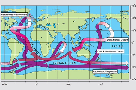 The <a
  href="/earth/Water/circulation1.html&dev=">thermohaline
  circulation</a>, often referred to as the ocean's "conveyor belt",
  links major surface and deep water currents in the Atlantic, Indian, Pacific,
  and Southern Oceans. This pattern is driven by changes in water <a
  href="/earth/Water/temp.html&dev=">temperature</a>
  and <a
  href="/earth/Water/salinity.html&dev=">salinity</a>
  that change the <a
  href="/earth/Water/density.html&dev=">density</a>
  of seawater.<p><small><em> Image courtesy <a href="http://www.clivar.org/publications/other_pubs/clivar_transp/d3_transp.htm">CLIVAR</a> (after W. Broecker, modified by E. Maier-Reimer).</em></small></p>