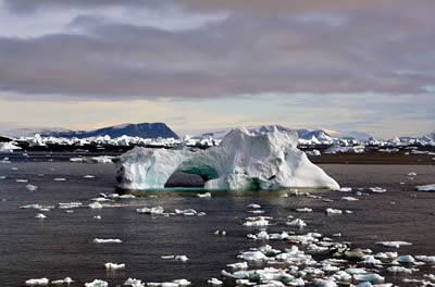 Icebergs floating near Cape York, Greenland
  in September 2005. Icebergs are large pieces of ice floating in
  the <a href="/earth/Water/ocean.html&edu=elem">ocean</a>
  that have broken off of <a
  href="/earth/polar/cryosphere_glacier1.html&edu=elem">ice
  shelves or glaciers</a> in <a
  href="/earth/polar/polar.html&edu=elem">Earth's polar
  regions</a>. They are a part of the <a
  href="/earth/polar/cryosphere_intro.html&edu=elem">cryosphere</a>.
  Approximately 90% of an iceberg's <a
  href="/glossary/mass.html&edu=elem">mass</a> is below
  the surface of the seawater. Because ice is less dense than water, a small
  portion of the iceberg stays above the seawater.<p><small><em>Image courtesy of   Mila Zinkova, Creative Commons Attribution ShareAlike license</em></small></p>