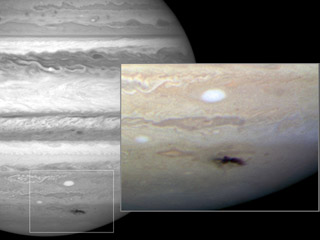 Anthony Wesley is an amateur astronomer in Australia. On the night of July
19, 2009, Wesley noticed a dark spot on
<a href="/jupiter/jupiter.html">Jupiter</a> that
hadn't been there before. He had discovered the remains of a huge
impact on Jupiter! Find out more
<a href="/jupiter/jupiter_impact_july_2009.html">here</a>.<p><small><em> Images courtesy of NASA, ESA, and H. Hammel (Space Science Institute, Boulder, Colo.), and the Jupiter Impact Team.</em></small></p>