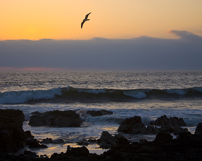 This beautiful sunset was captured off the coast of Chile in October,
  2009. Earth's ocean covers more than 70% of our planet's surface. <a
  href="/earth/Water/ocean_motion.html&dev=">Ocean
  water is always moving</a>. It moves around by <a
  href="/earth/Water/ocean_currents.html&dev=">surface
  ocean currents</a>, <a
  href="/earth/Water/ocean_upwelling.html&dev=">upwelling</a>,
  <a
  href="/earth/Water/ocean_tides.html&dev=">tides</a>,
  and the <a
  href="/earth/Water/circulation1.html&dev=">global
  ocean conveyor</a> or <a
  href="/earth/Water/circulation1.html&dev=">thermohaline
  circulation</a>. The ocean's tides are one type of tide created by <a
  href="/glossary/tidal_forces.html&dev=">gravitational
  force</a>.<p><small><em>Image courtesy of Carlye Calvin</em></small></p>