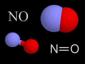 Nitric oxide